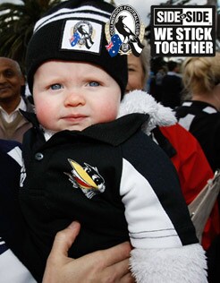 121112_babymagpie246a.jpg